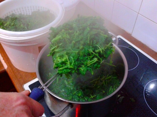 Žihľavový prívarok (fotorecept) - obrázok 5