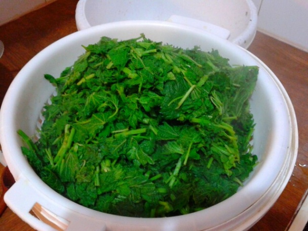 Žihľavový prívarok (fotorecept) - obrázok 6