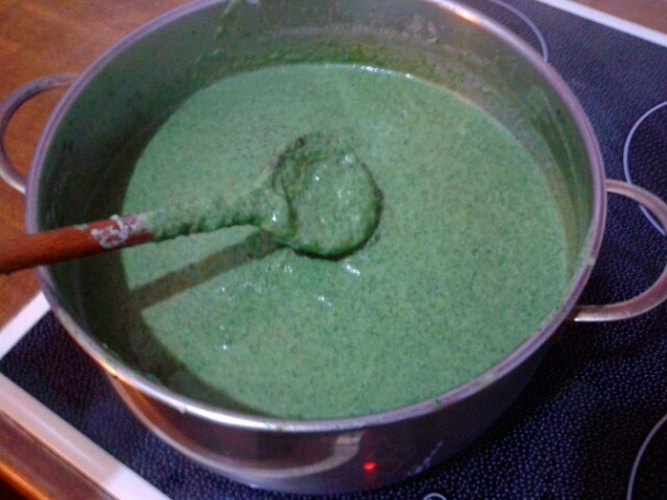 Žihľavový prívarok (fotorecept) - obrázok 14