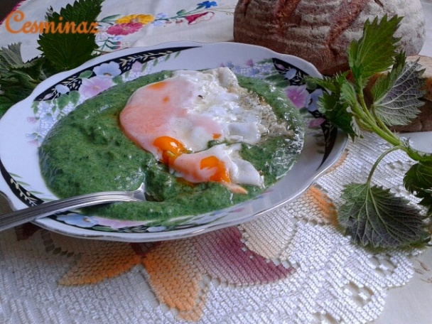 Žihľavový prívarok (fotorecept) - obrázok 15