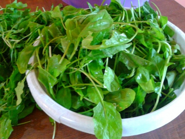 Špenátová bublanina (fotorecept) - obrázok 1