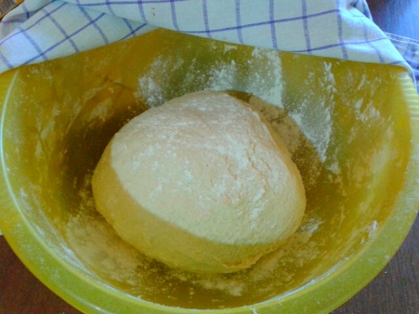 Mini posúchy (fotorecept) - obrázok 2