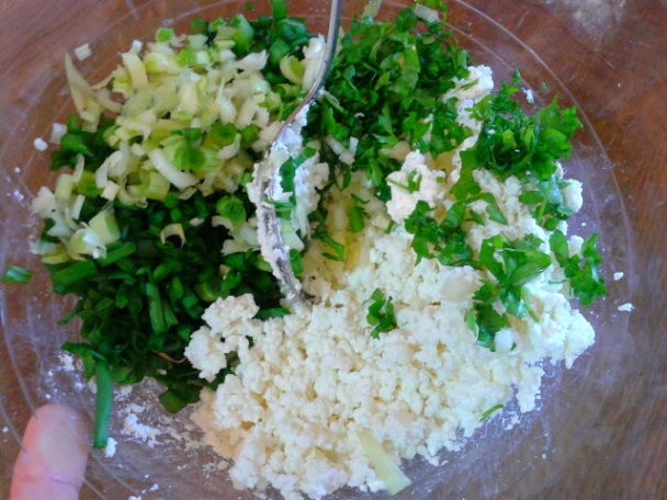 Mini posúchy (fotorecept) - obrázok 3