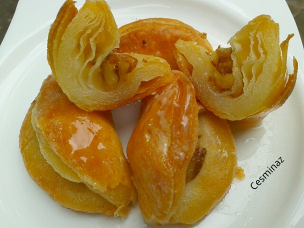 Dilber Dudağı / Kráskine pery (fotorecept) - obrázok 21