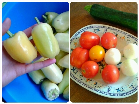 Biber dolmasi / Plnená paprika (fotorecept) - obrázok 1