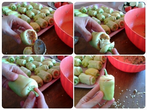 Biber dolmasi / Plnená paprika (fotorecept) - obrázok 4