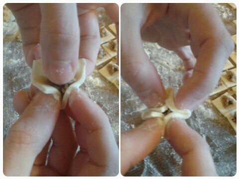 Mantı (fotorecept) - obrázok 4