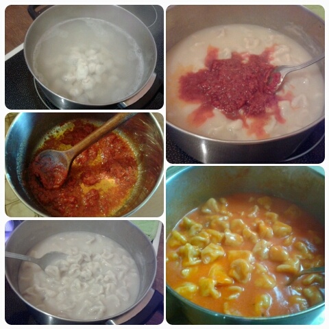 Mantı (fotorecept) - obrázok 7