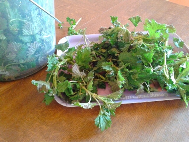 Žihľavové pyré (fotorecept) - obrázok 1