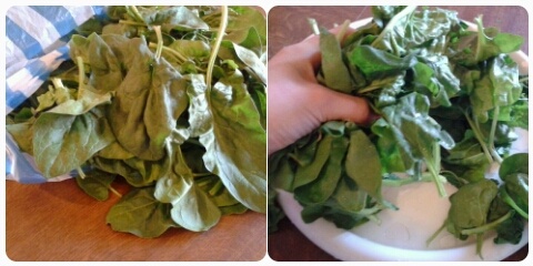 Kysnuté trojuholníky plnené špenátom (fotorecept) - obrázok 1