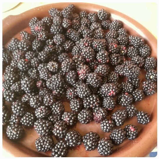 Zemiakové guľky v černicovej omáčke (fotorecept) - obrázok 1