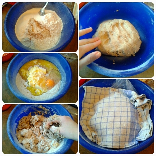 Ražný jablkový mrežovník (fotorecept) - obrázok 1