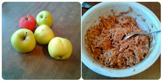 Ražný jablkový mrežovník (fotorecept) - obrázok 2