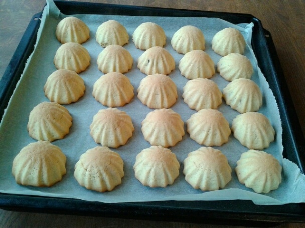 Raketky (fotorecept) - obrázok 7