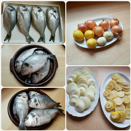 Pražma na cibuli a citróne (fotorecept) - obrázok 2