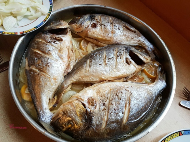 Pražma na cibuli a citróne (fotorecept) - obrázok 5