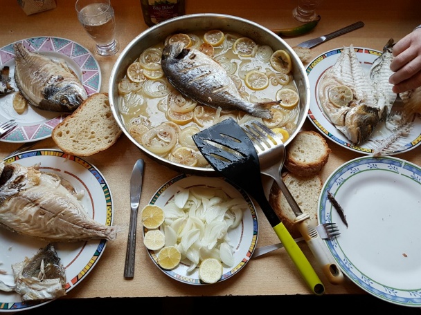 Pražma na cibuli a citróne (fotorecept) - obrázok 6