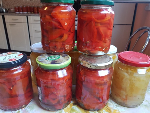 Baklažánovo-kapiová omáčka (sós) (fotorecept) - obrázok 7