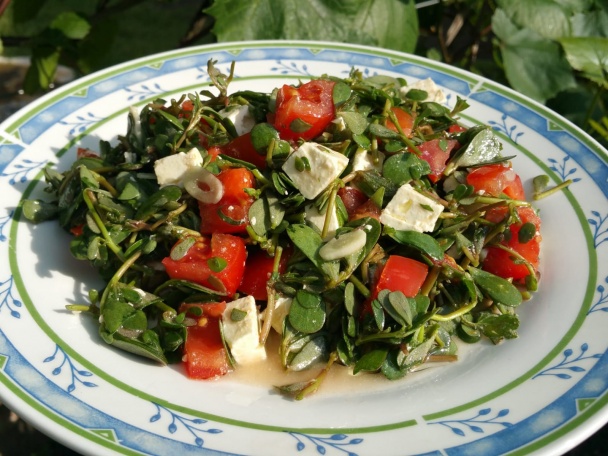 Zdravý portulakový šalát s cesnakom a so syrom - obrázok 2