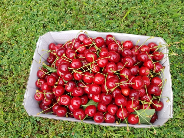 Čerešňové čatní/chutney (fotorecept) - obrázok 1