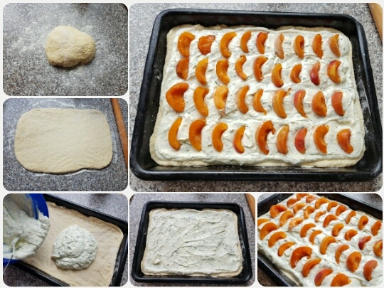 Tvarohovo-kôprový koláč s marhuľami (fotorecept) - obrázok 3