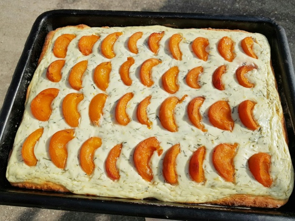 Tvarohovo-kôprový koláč s marhuľami (fotorecept) - obrázok 4