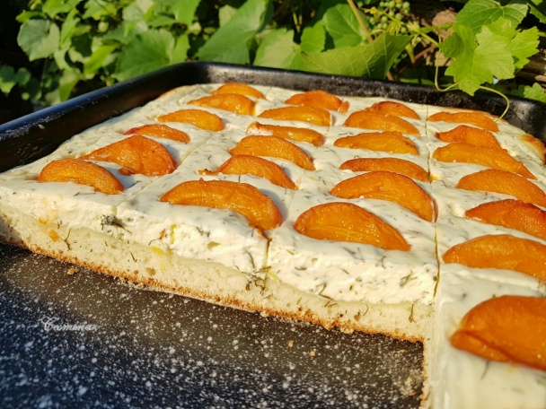 Tvarohovo-kôprový koláč s marhuľami (fotorecept) - obrázok 6