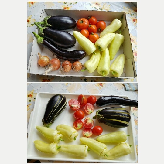 Dolma/Plnená paprika (fotorecept) - obrázok 1