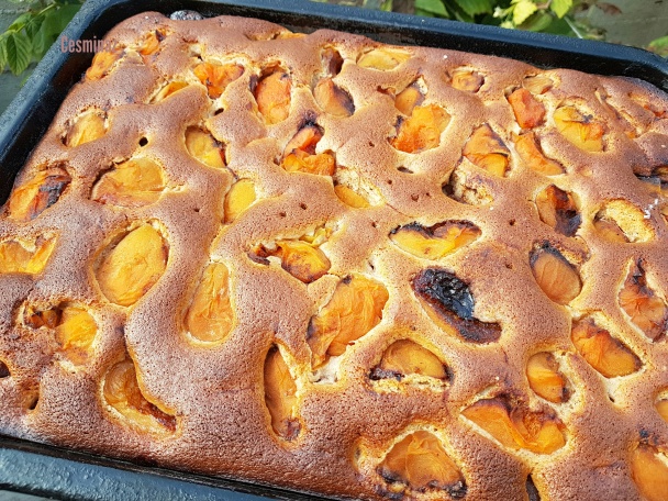 Vláčna kompótová bublanina (fotorecept) - obrázok 5