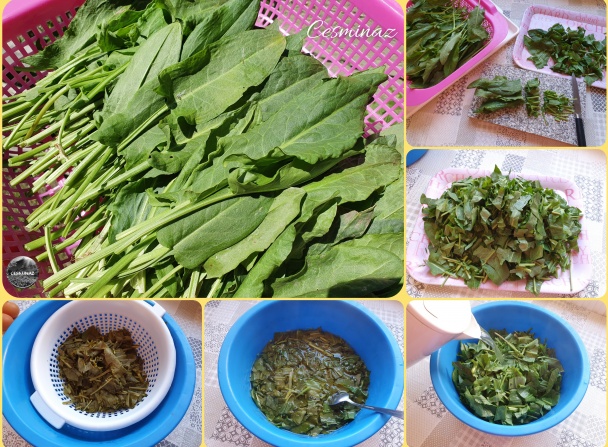 Šťaveľový prívarok - šóška (fotorecept) - obrázok 2