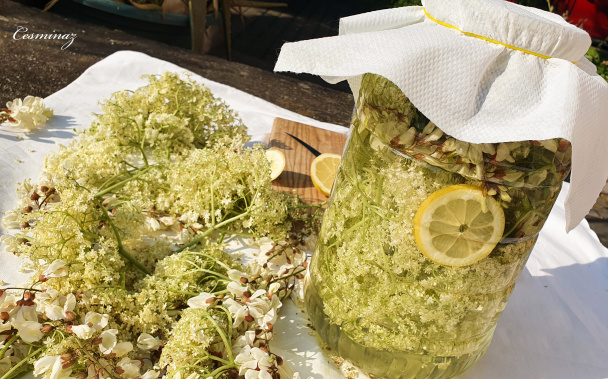 Limonáda z kvetov z prírody (videorecept) - obrázok 2