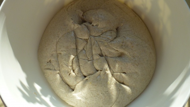 Špaldovo-ražný zemiakový kváskový chlieb  (fotorecept) - obrázok 4