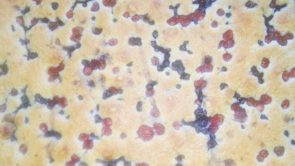 Pudingový jahodovo-čučoriedkový koláčik (fotorecept) - obrázok 2