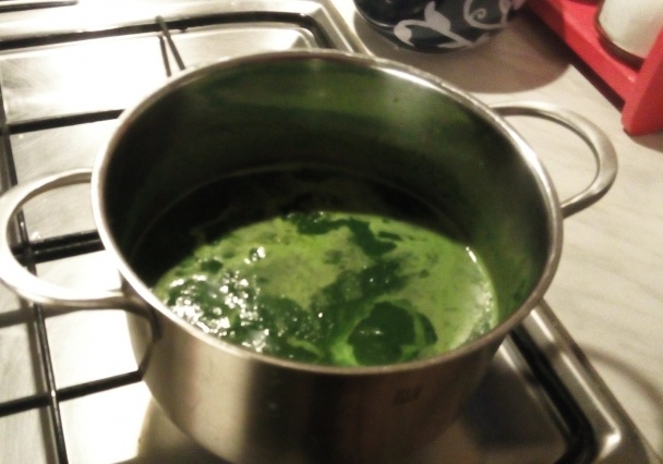 Špenátová polievočka s medvedím cesnakom (fotorecept) - obrázok 2