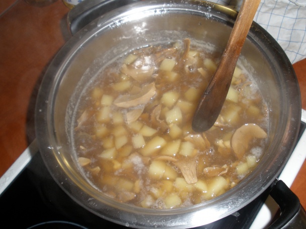 Dubáková polievočka - obrázok 6