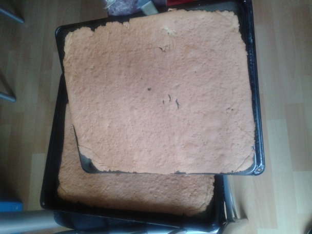 Rozprávkové medové rezy (fotorecept) - obrázok 12