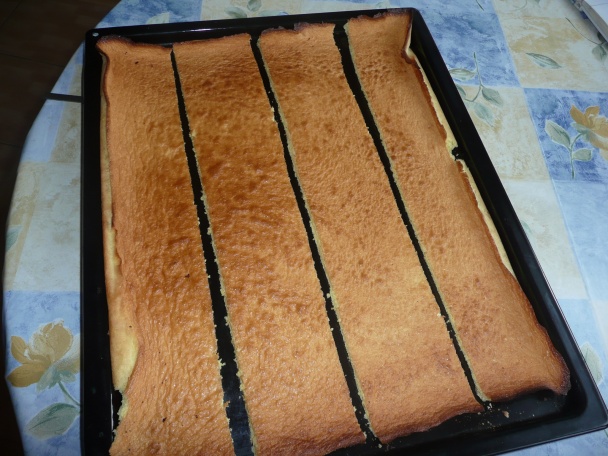 Dobošový rez jednoduchý (fotorecept) - obrázok 3