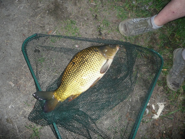 Čerešňový koláč (fotorecept) - obrázok 11