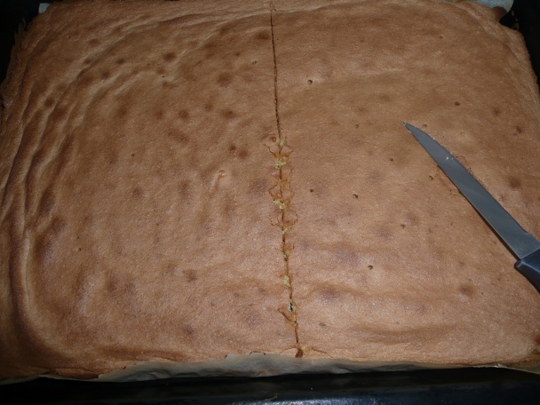 Čučoriedkový zákusok (fotorecept) - obrázok 7