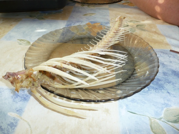 Kapor na rýchlo (fotorecept) - obrázok 8