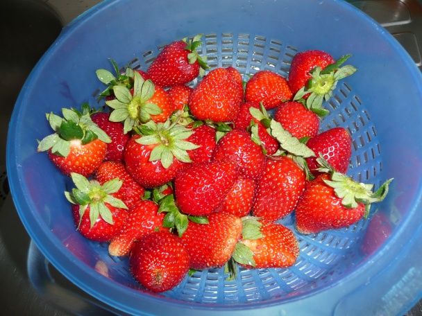 Fľakatá bublanina s čerstvými jahodami (fotorecept) - obrázok 5