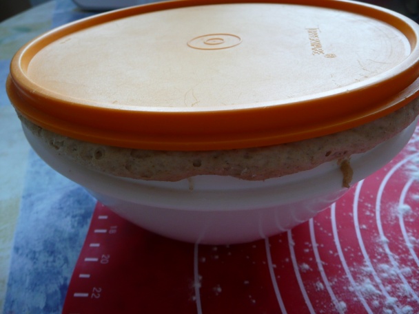 Okrúhle kysnuté tvarohové koláče so slivkovým lekvárom (fotorecepty) - obrázok 4