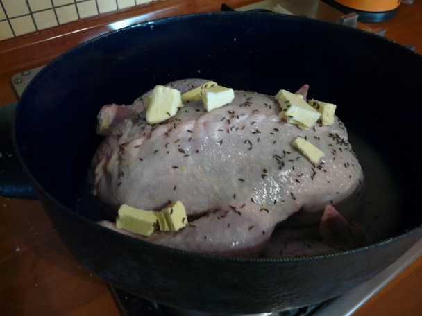 Kurča s implantátmi (fotorecept) - obrázok 3