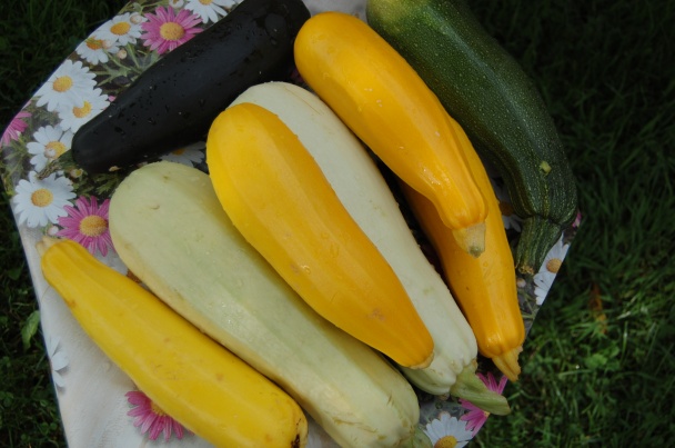 Pikantná zaváraná cuketa (fotorecept) - obrázok 1