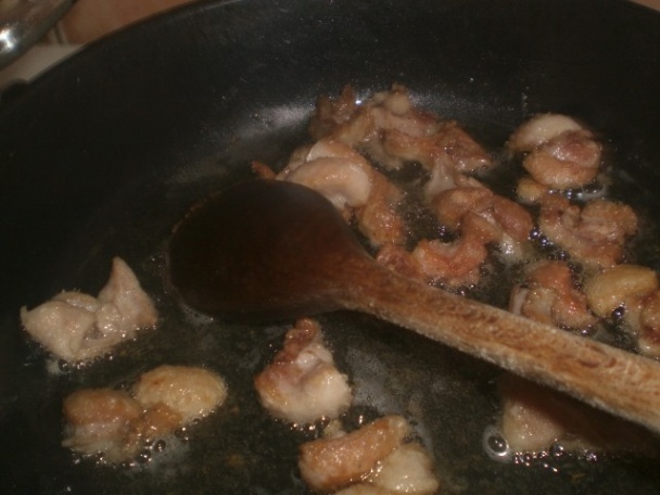 Kačacie prsia s hríbikmi - obrázok 3