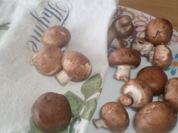 Kačacie prsia s hríbikmi - obrázok 7