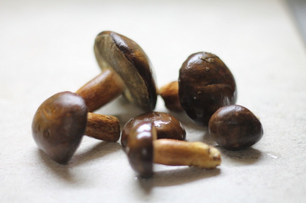 Praženica zo sucháčov - obrázok 2