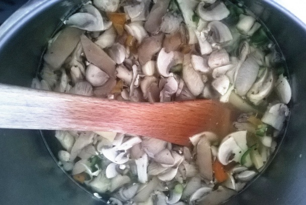 Ostro-kyslá čo dom dal (fotorecept) - obrázok 5