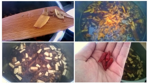 Ostro-kyslá čo dom dal (fotorecept) - obrázok 7