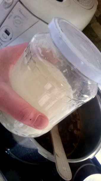 Ostro-kyslá čo dom dal (fotorecept) - obrázok 9